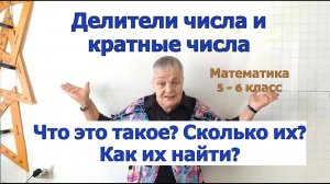 Делители числа и кратные числа. Математика 5 - 6 класс.