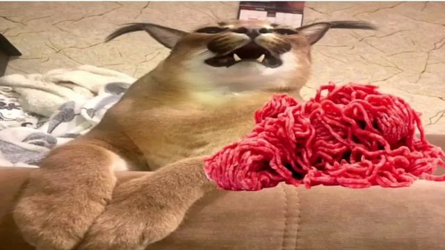 Шлёпа пельмени. смотреть онлайн