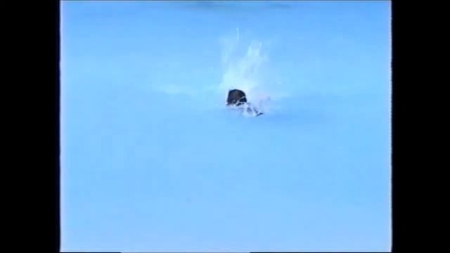 venezuela los roques e hotel concorde margarita 1990 relax смотреть онлайн