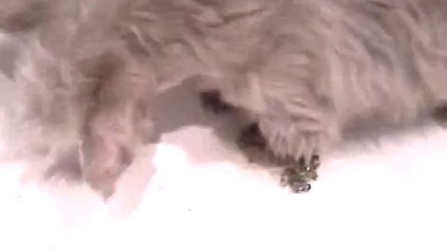 Охотник за пуЗыриками смотреть онлайн