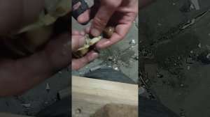 как разделать рапана