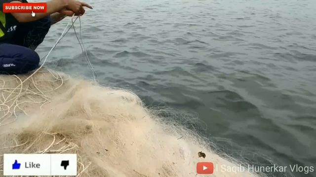 Amazing Fishing in Konkan | Fishing in Sea | Rapan Fishing смотреть онлайн