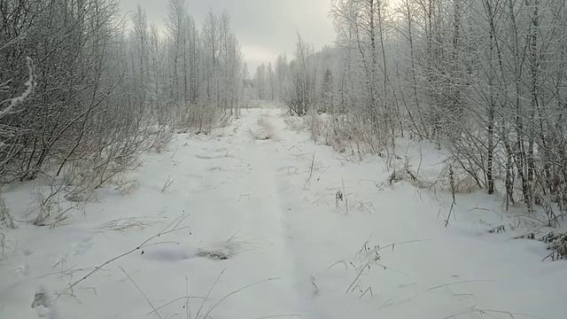 Музыка для души. Релакс. Природа Сибири. Зимняя сказка смотреть онлайн