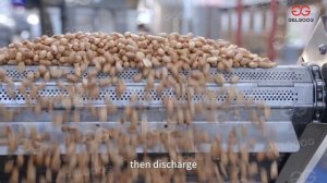 Промышленная фритюрница для жарки арахиса