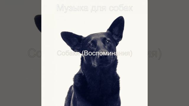 Мечты (Щенки) смотреть онлайн