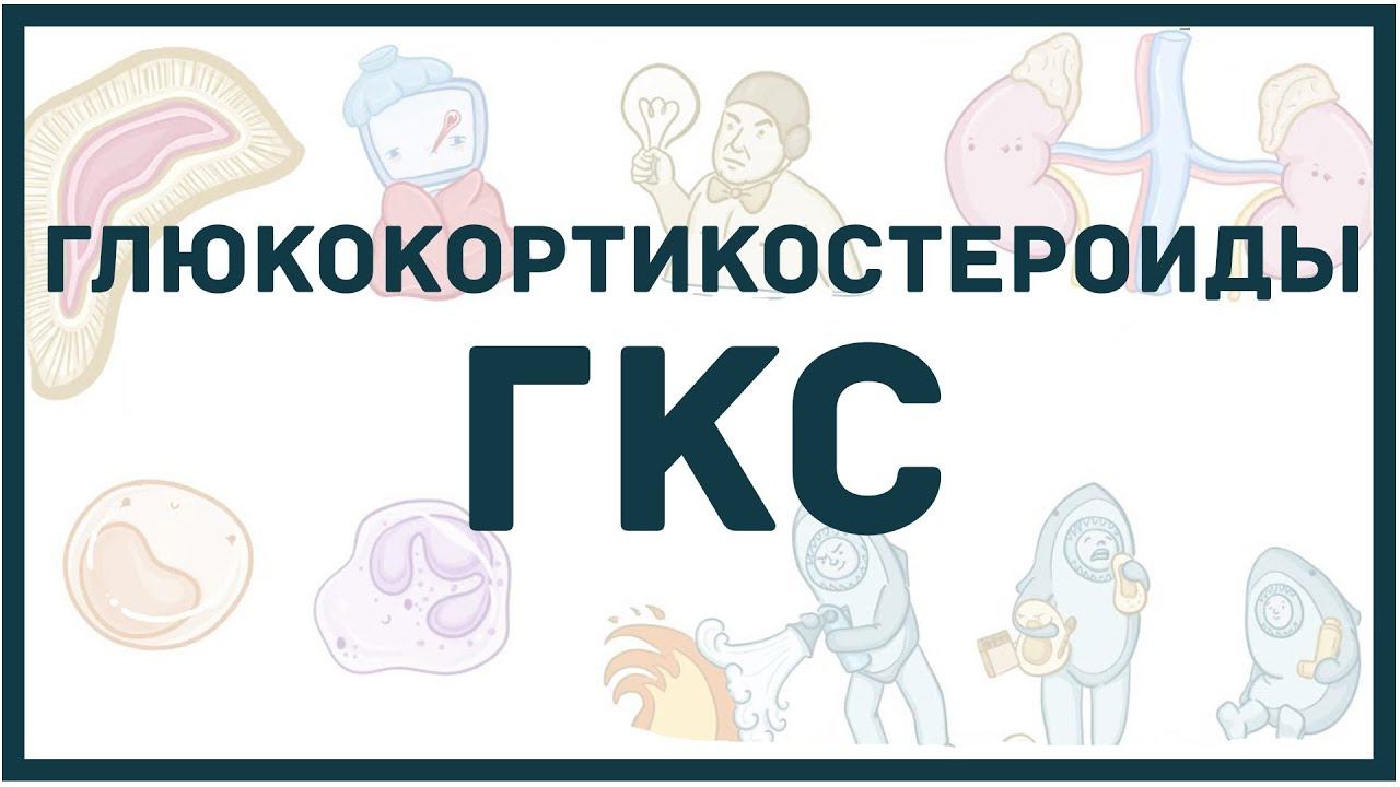 Глюкокортикостероиды - классификация, механизм действия, показания, побочные эффекты, мнемоника смотреть онлайн