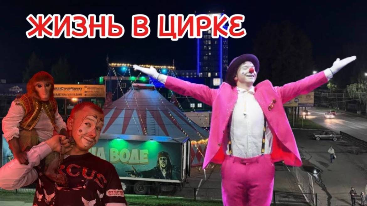 Один день из жизни артиста цирка | Цирк на воде Мирандус | Работа в цирке смотреть онлайн