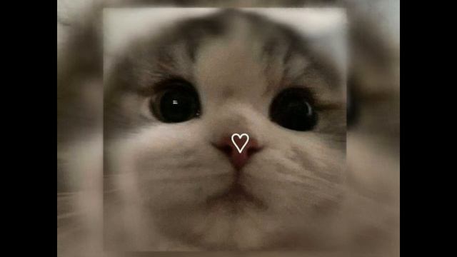 песня я останусь одна (sped up) смотреть онлайн