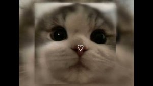 песня я останусь одна (sped up)