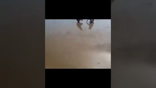Sao Biển Phú Quốc смотреть онлайн