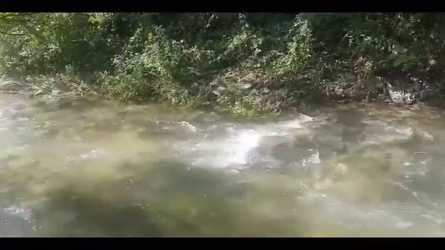계곡 옆 부쉬크래프트 Backyard Camaping in Korea! смотреть онлайн
