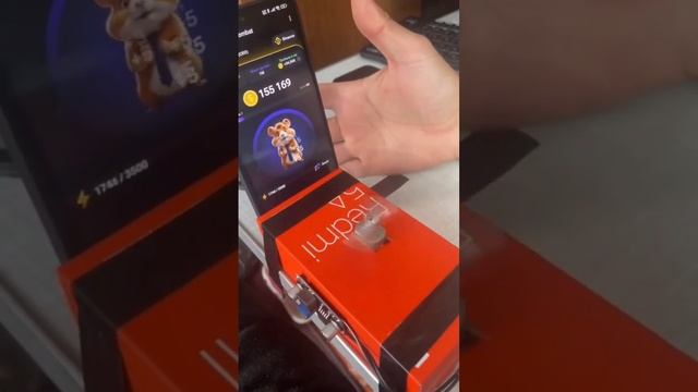 тапаем 🐹 хомяка