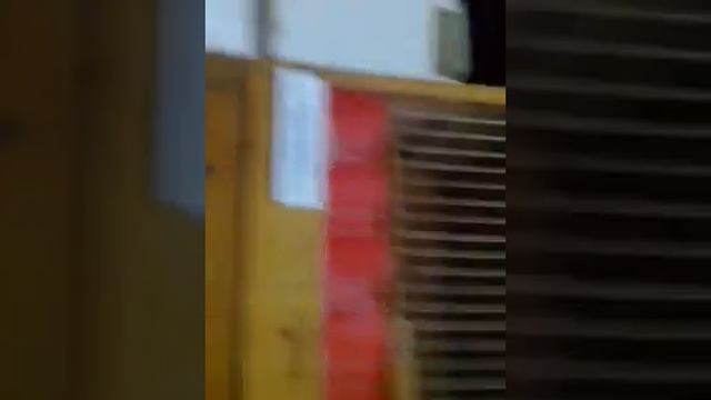 Милата хто любит животных лайк! смотреть онлайн