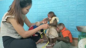Mom surprised by height and weight of baby monkey Su, MiMi and KuKu