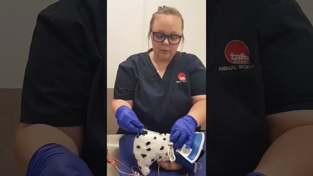 Abigail Russell-Brereton -subcutaneous Injection смотреть онлайн