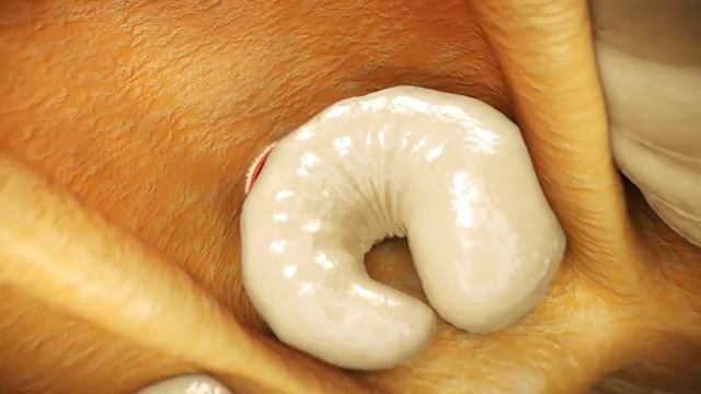 VARROA BİTİ NEDİR смотреть онлайн