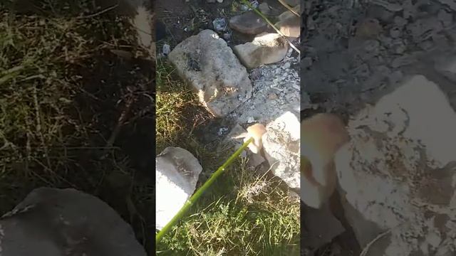 На природе смотреть онлайн