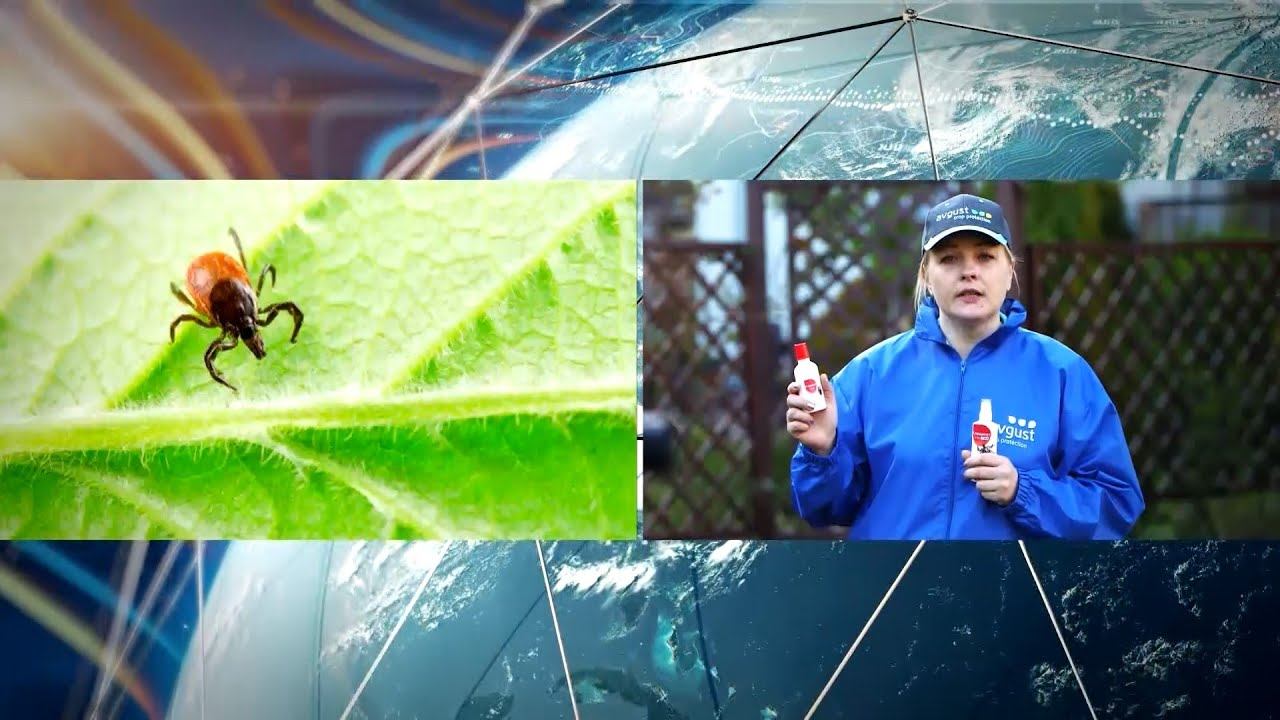 «уДачный гид»: защита от иксодовых клещей