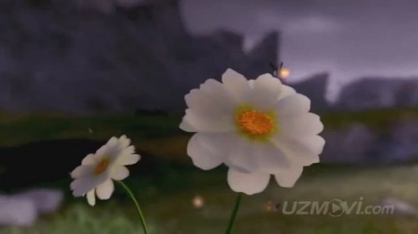 Ajdar uyi makoni  UZdunyo tv.com   https://t.me/UZdunyo_tv_com