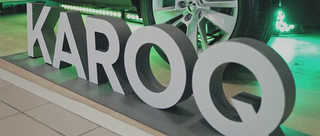 Шкода Karoq 2