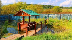 ЦЕЛЕБНЫЙ РОДНИК