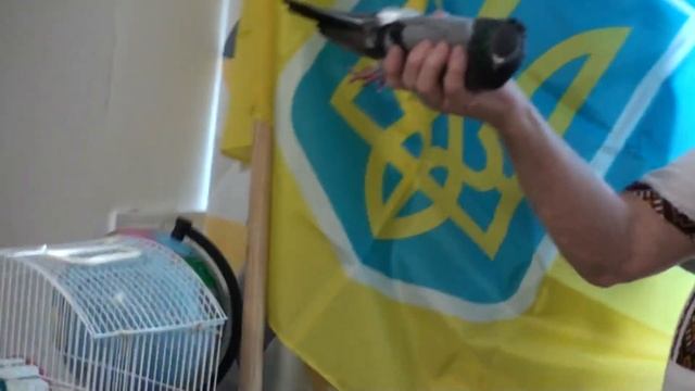 ВСЁ ТАКИ ОНА МОЯ, МОЯ!!! 01.10 .2022 г. смотреть онлайн