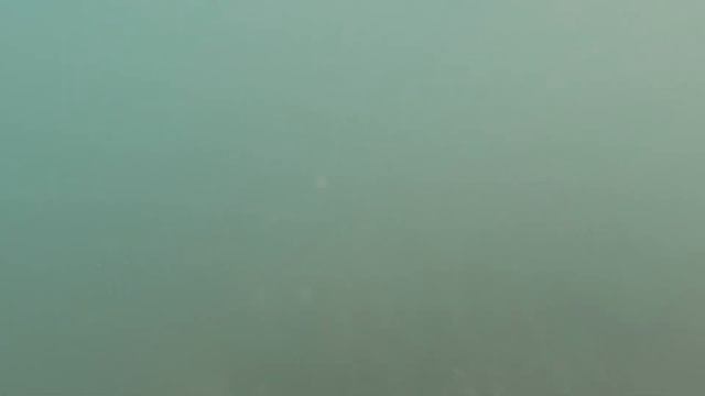 В море с головой смотреть онлайн