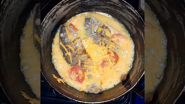 How to:steam fish with carrot & coconut milk powder. #healthylifestyle #short #jamaicanstyle смотреть онлайн