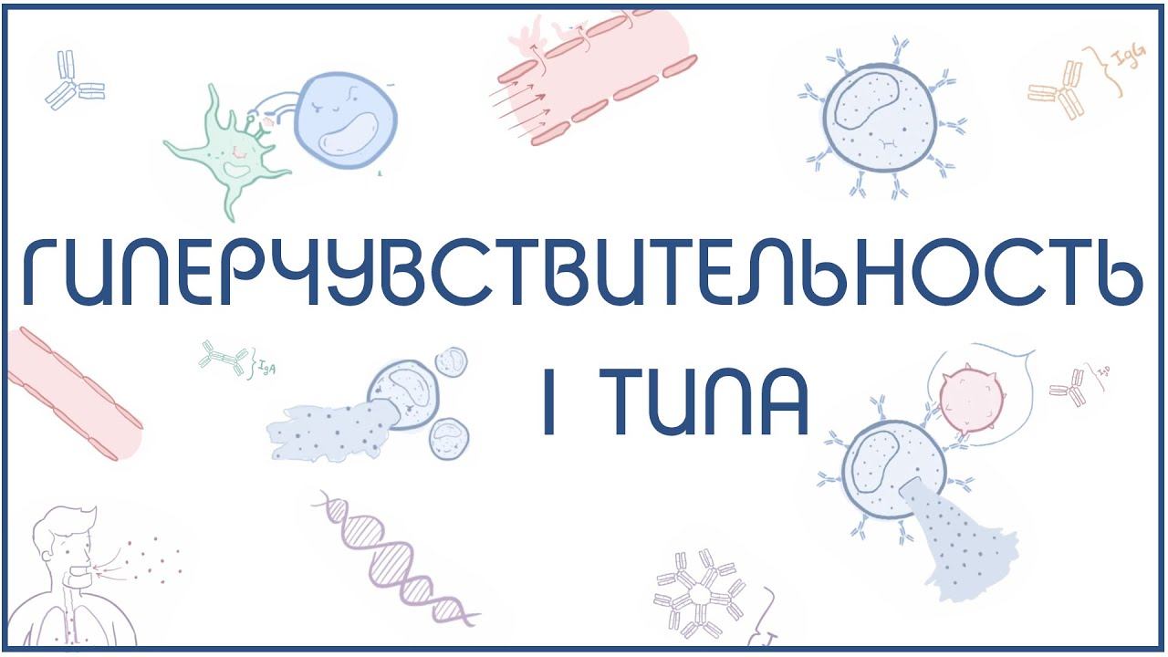 Гиперчувствительность 1 типа (немедленного типа) - механизм и примеры реализации смотреть онлайн