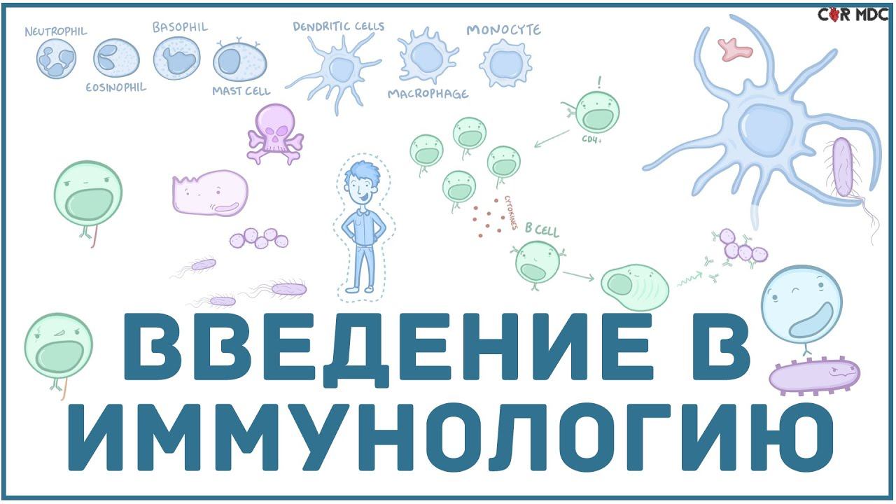 Введение в иммунологию смотреть онлайн