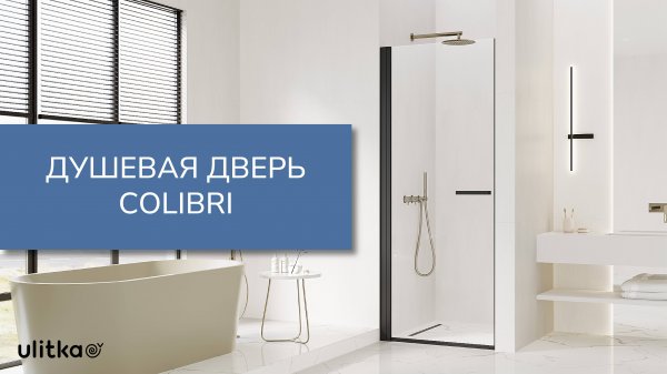 Душевая дверь Colibri