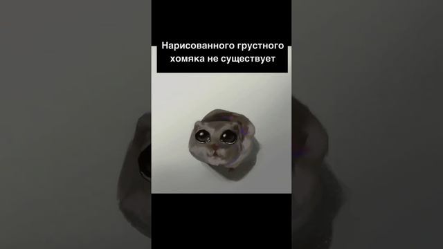 Грустный хомяк #recommendations #рекомендации #fyp #foryou #грустныйхомяк #мем смотреть онлайн