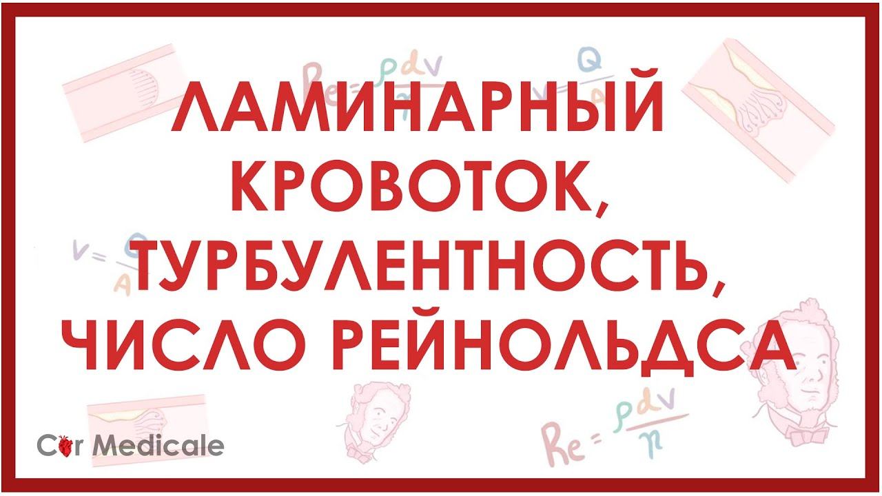 Ламинарный кровоток, турбулентность, число Рейнольдса - физиология сердечно-сосудистой системы смотреть онлайн
