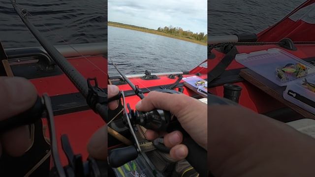 Хорошая поклёвка.