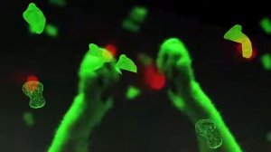 Мяу мяу дискотека котов