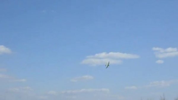 Облёт Птенца буревестника