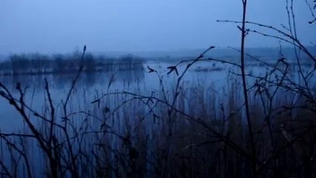 Заманивание утки смотреть онлайн