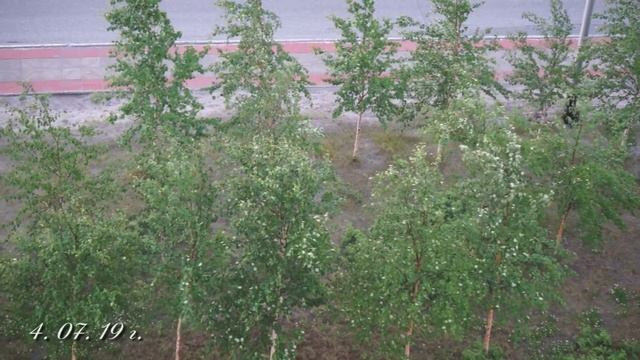Гроза в Радужном 4 07 19 г смотреть онлайн