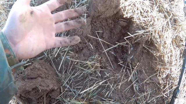 Открытие кладоискательского сезона 2018 в Коломне смотреть онлайн