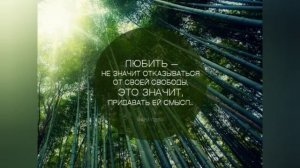 Истов - Ветер свободы