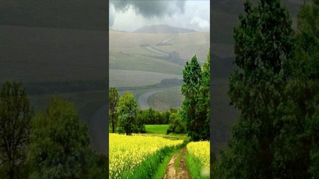 А ты когда-то слушал тишину? смотреть онлайн