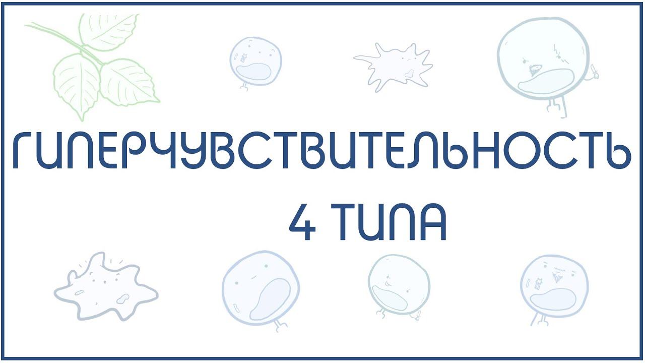 Гиперчувствительность 4 типа - механизм и примеры реализации смотреть онлайн
