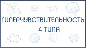 Гиперчувствительность 4 типа - механизм и примеры реализации