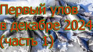 Первый улов в декабре 2024 (часть 1)🐬🚤❄️⛄