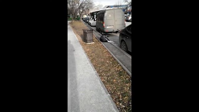 Вот кто мусорит на улице,,,,,,,,,,, смотреть онлайн