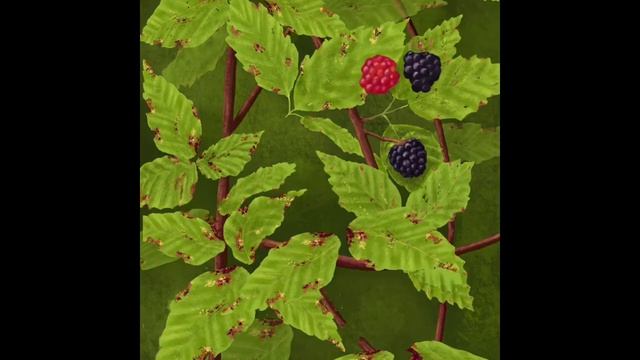 Butterfly painting in Procreate смотреть онлайн