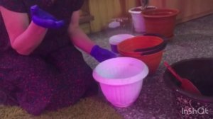 Букетный способ посадки однолетних цветов