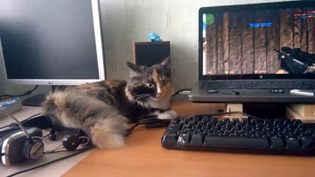 Шур-шур) смотреть онлайн
