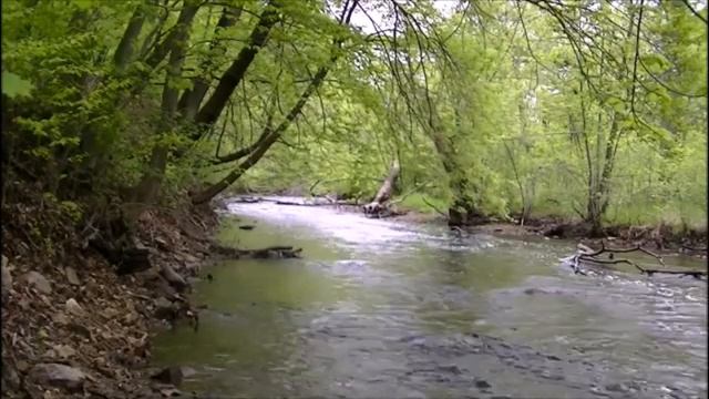 Мурад Дударов. Маца йог1ур ю тхо долчу. НОВИНКА 2018. смотреть онлайн