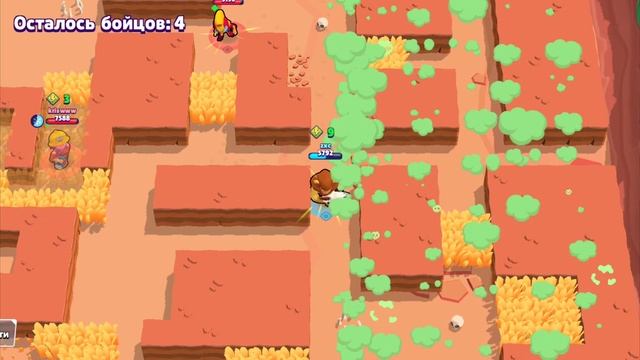 Радушные Зверочки Забавления